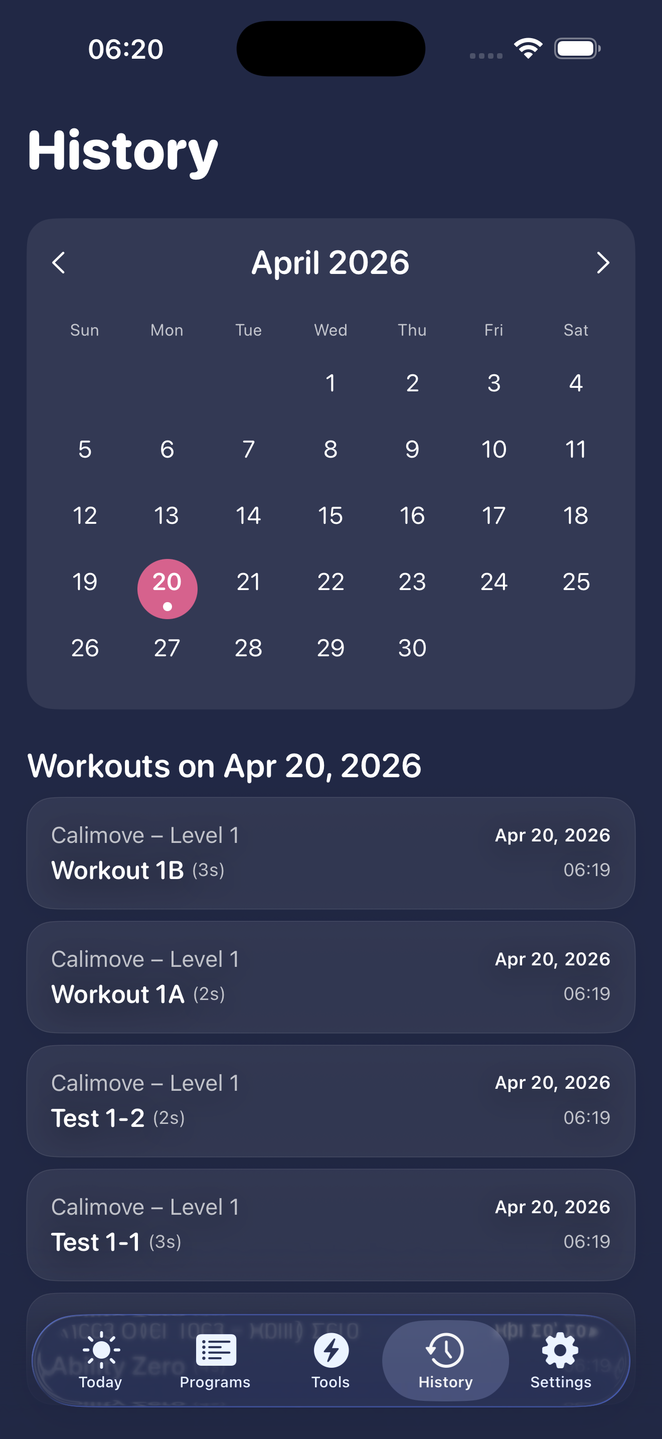 History — calendar view with workout log